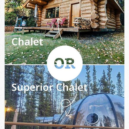 Rocky Mountain Escape Dome & Log Cabin Rentals - Rock Lake Rock Lake Lodge Provincial Park Dış mekan fotoğraf
