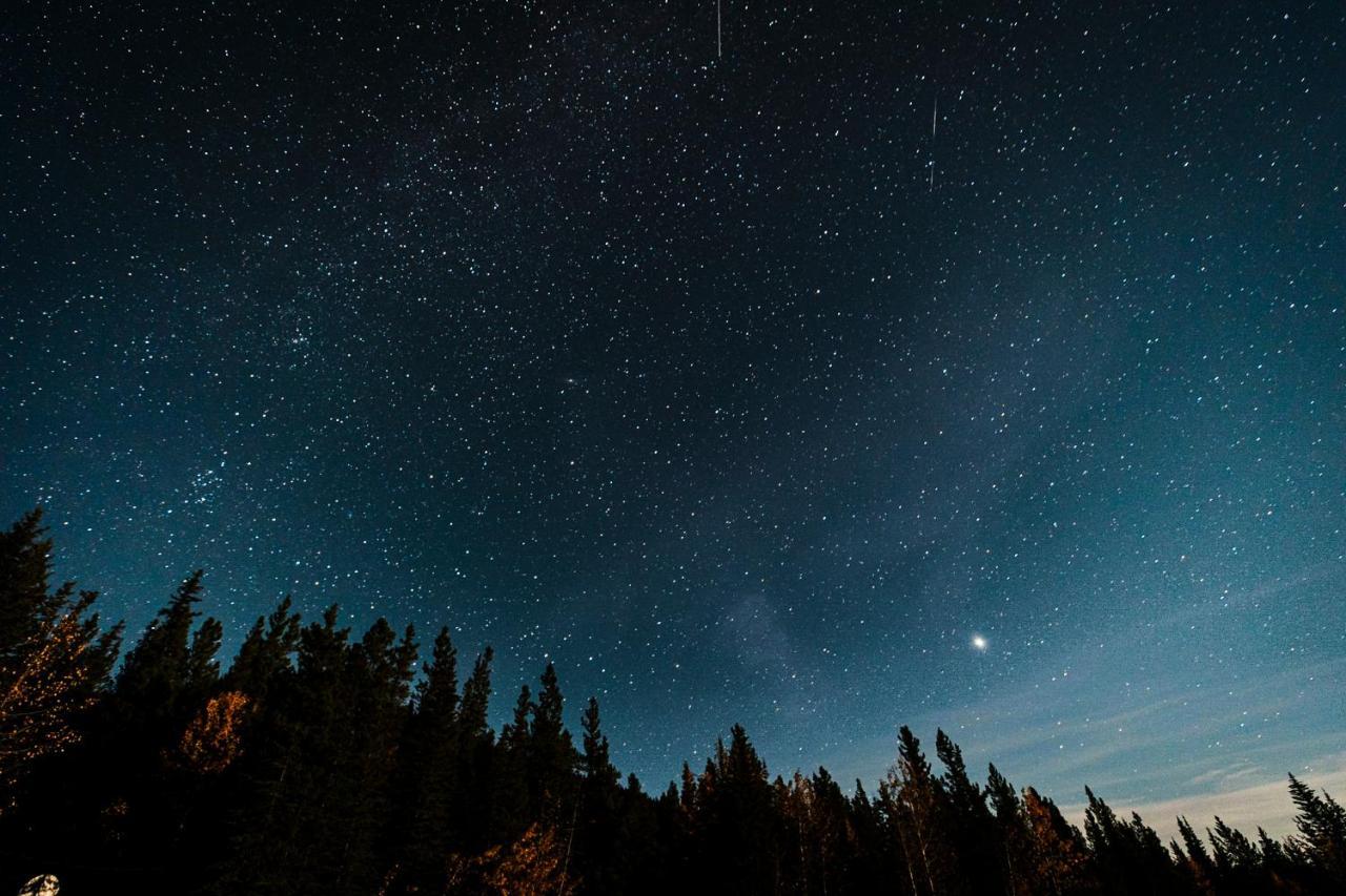 Rocky Mountain Escape Dome & Log Cabin Rentals - Rock Lake Rock Lake Lodge Provincial Park Dış mekan fotoğraf